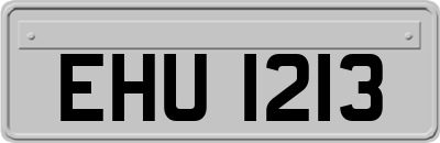 EHU1213