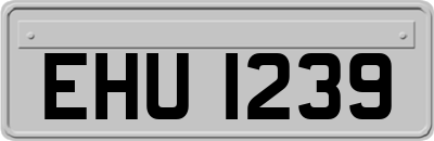 EHU1239