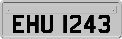 EHU1243