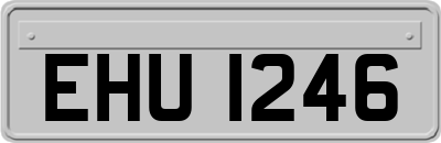 EHU1246