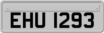 EHU1293