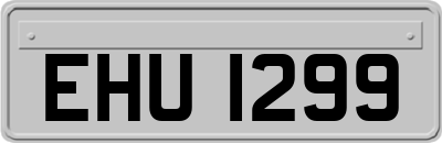 EHU1299