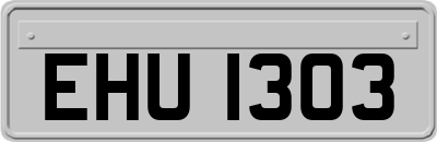 EHU1303