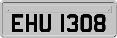 EHU1308