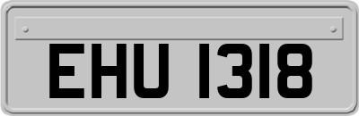 EHU1318