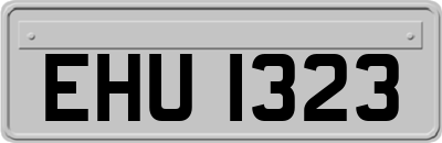 EHU1323