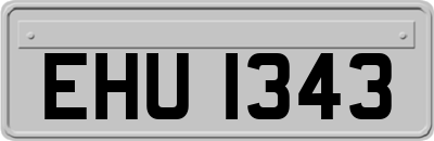 EHU1343