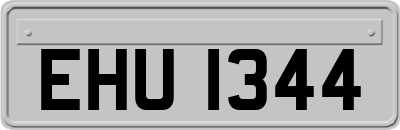 EHU1344