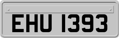 EHU1393