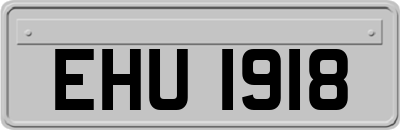 EHU1918