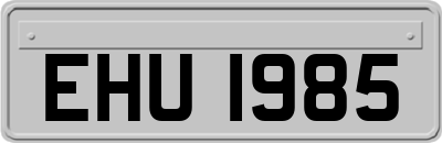EHU1985
