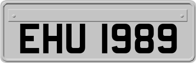 EHU1989