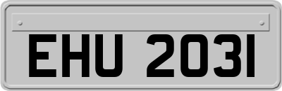EHU2031
