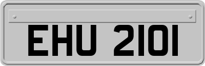 EHU2101