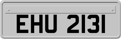 EHU2131
