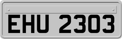 EHU2303