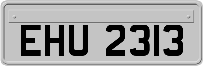 EHU2313