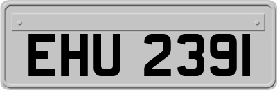 EHU2391