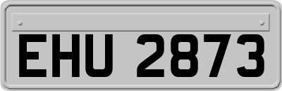 EHU2873