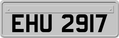 EHU2917