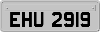 EHU2919