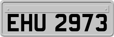 EHU2973