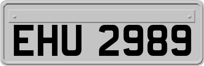 EHU2989