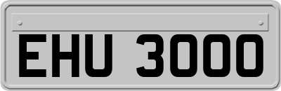 EHU3000
