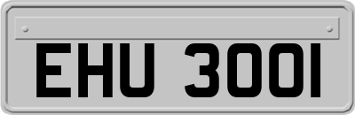 EHU3001