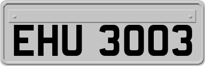 EHU3003