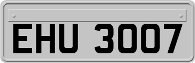 EHU3007