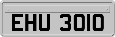 EHU3010