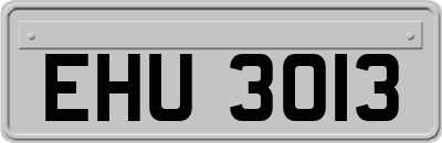 EHU3013