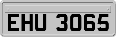 EHU3065