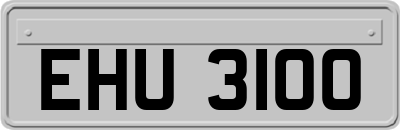 EHU3100