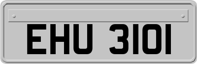 EHU3101