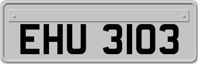EHU3103