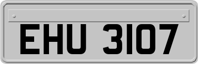 EHU3107