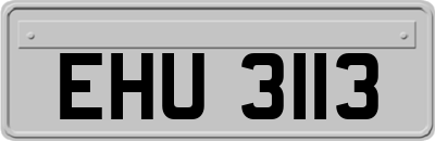 EHU3113