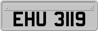 EHU3119