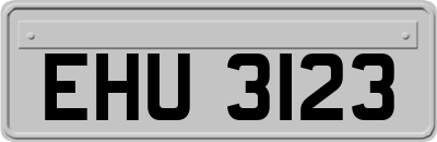 EHU3123