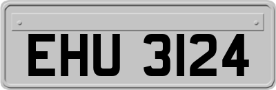 EHU3124