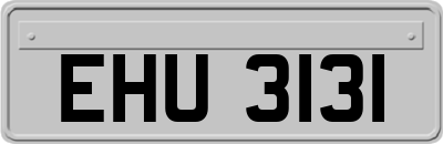 EHU3131