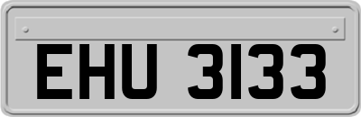 EHU3133