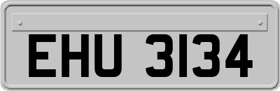 EHU3134