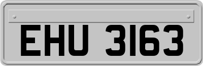 EHU3163