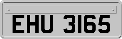 EHU3165