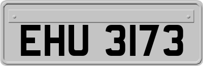 EHU3173