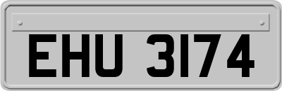 EHU3174