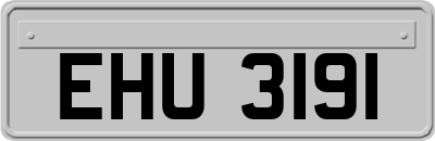 EHU3191